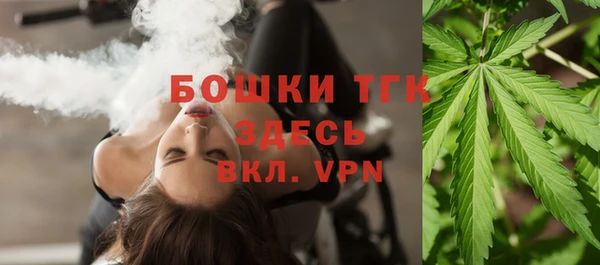 сатива Зеленокумск