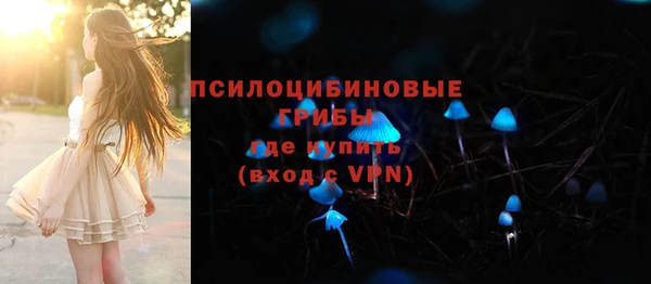 трава Елабуга