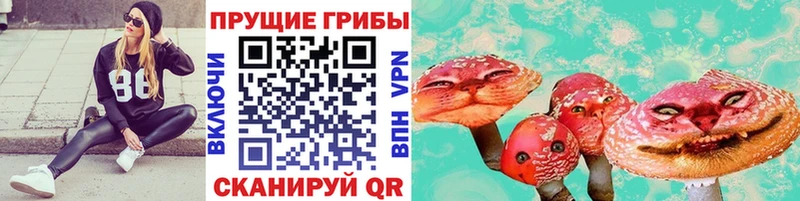 даркнет сайт  Кадников  Галлюциногенные грибы прущие грибы 